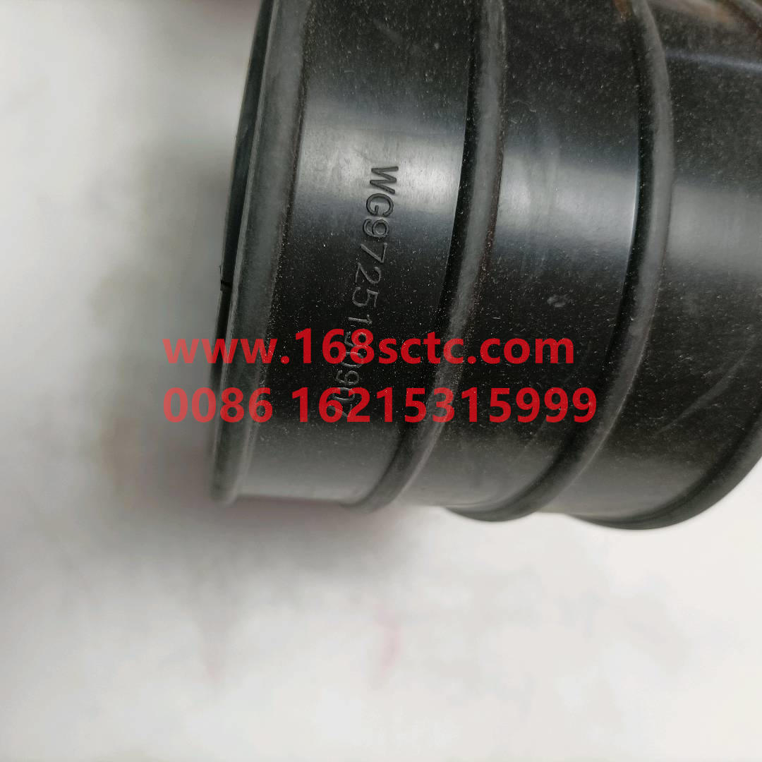WG9725190907