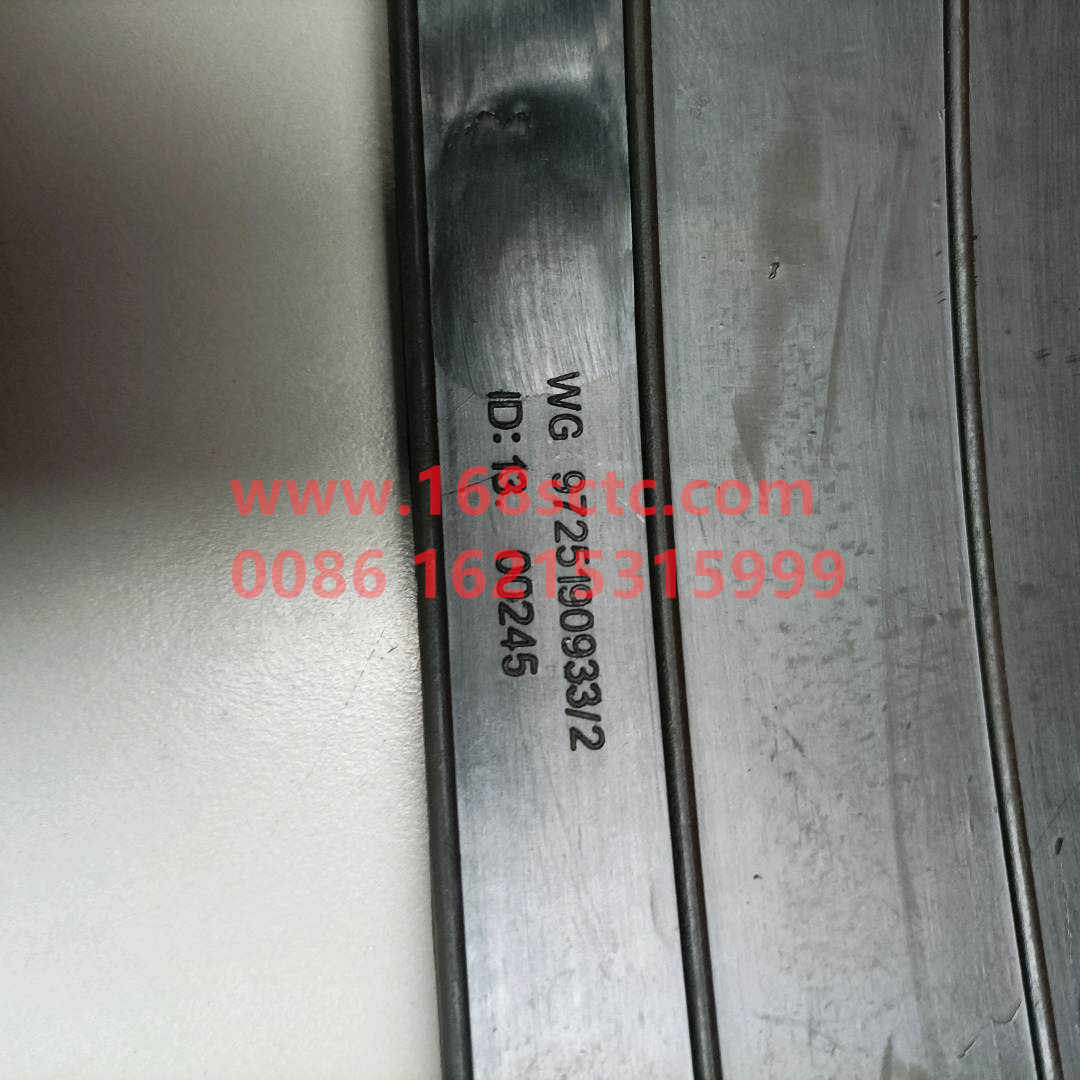 WG9725190933