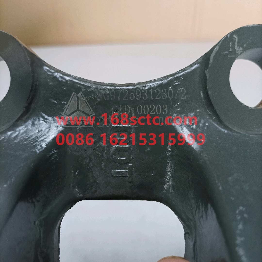WG9725931230