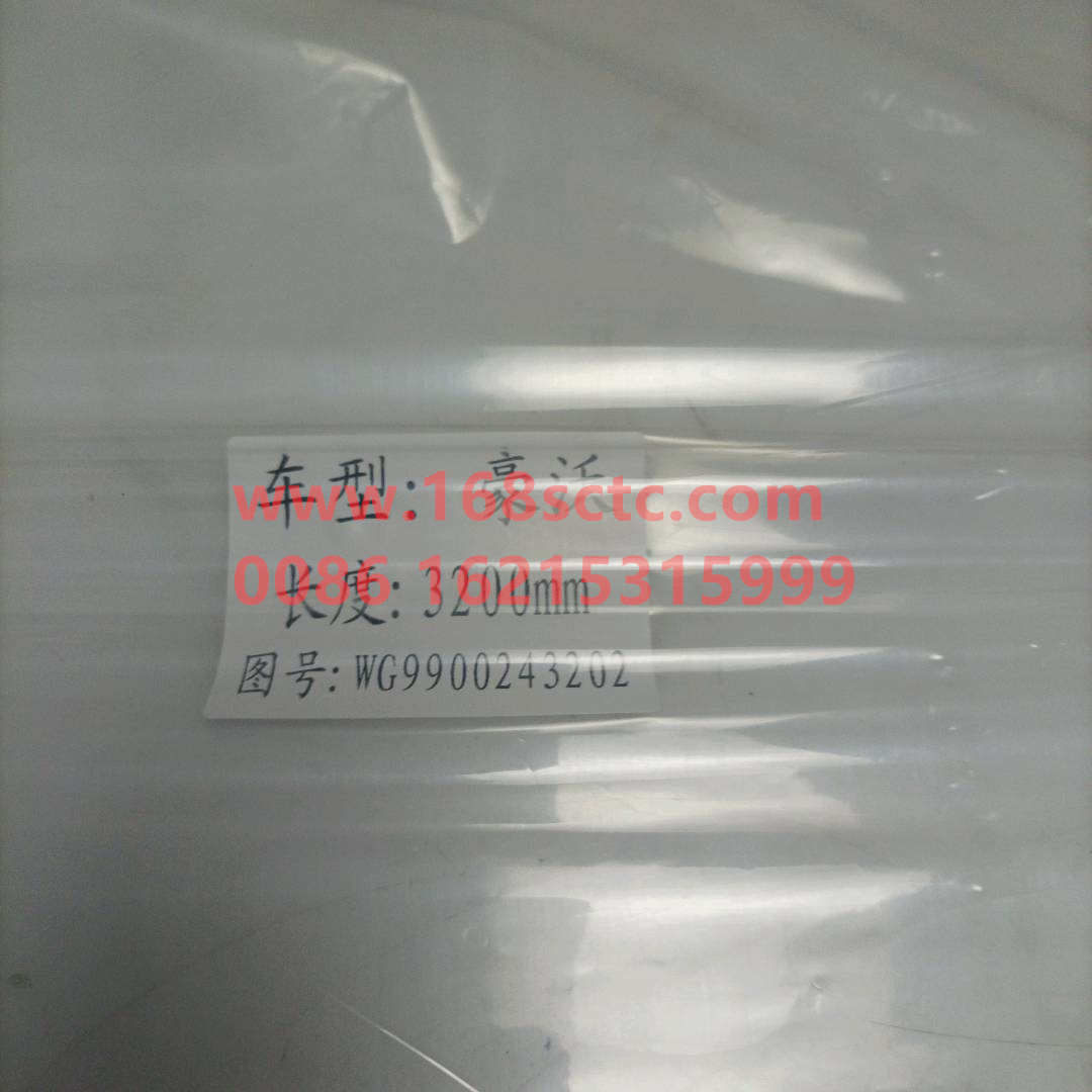 WG9900243202