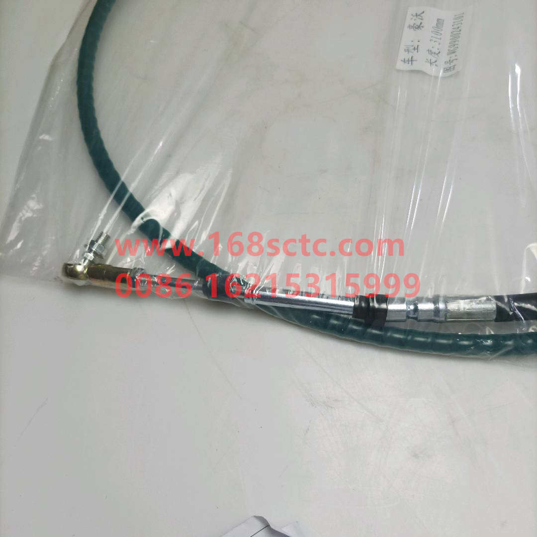 WG9900243101