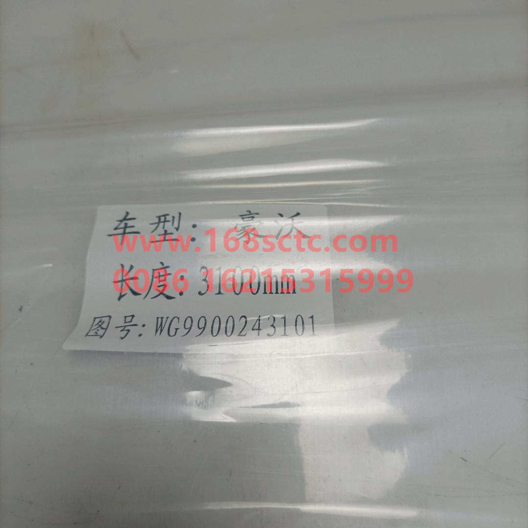 WG9900243101