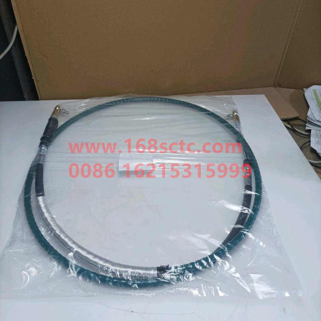 WG9900243101