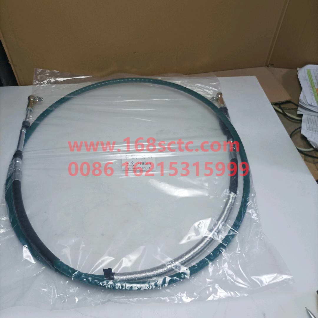 WG9900243101