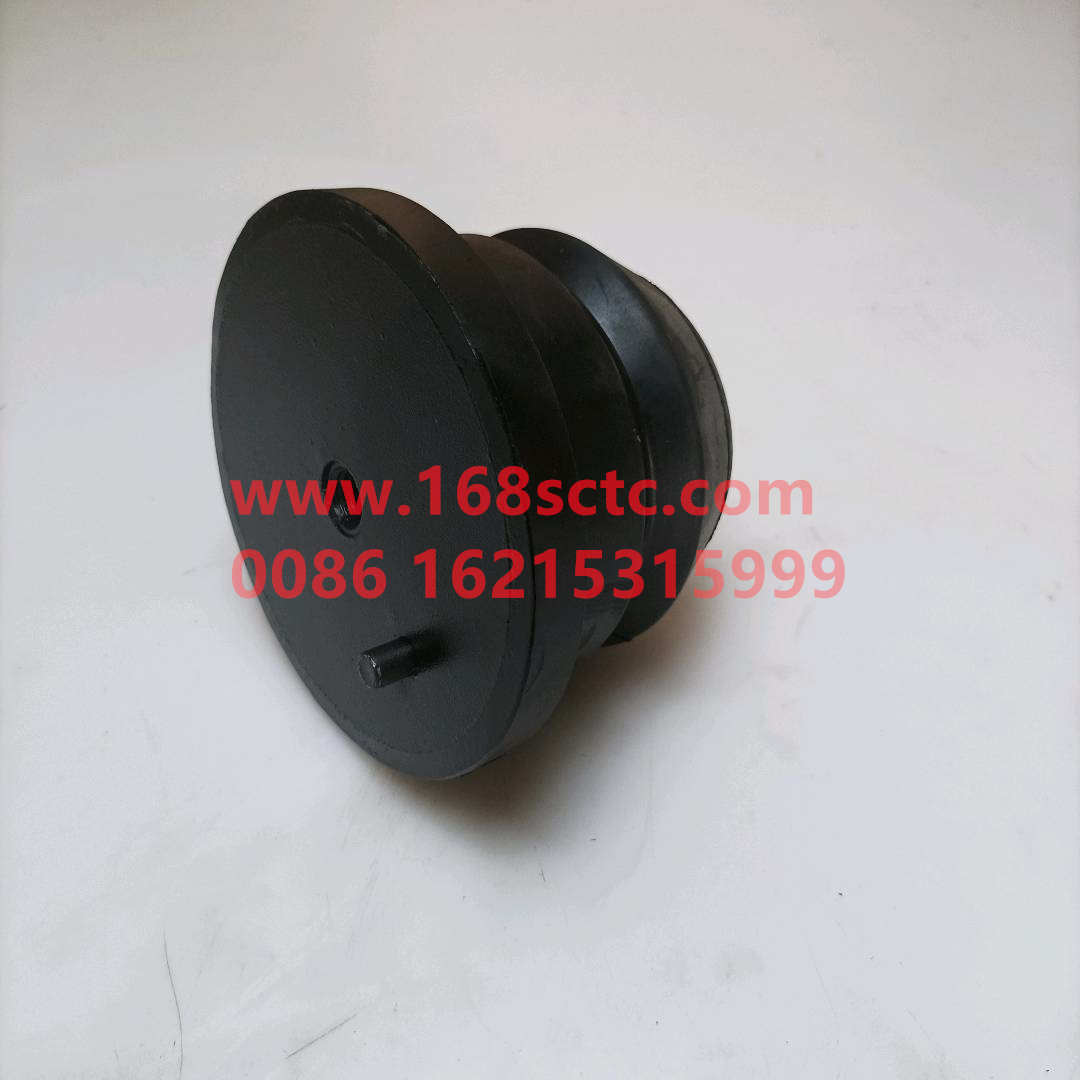 WG9925522111-SINOTRUK HOWO-Limit block assembly-HaoWoT7HKuan