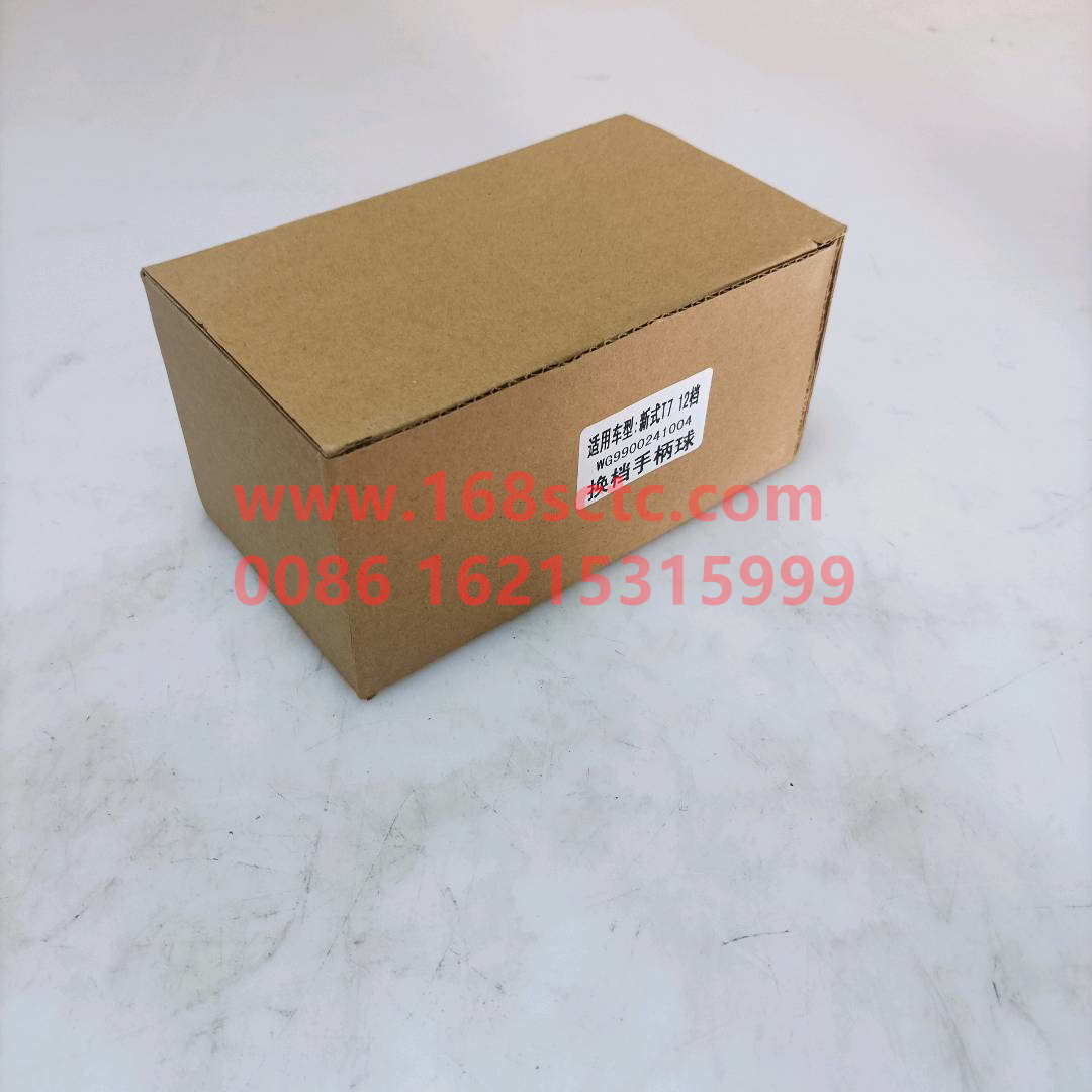 WG9900241004