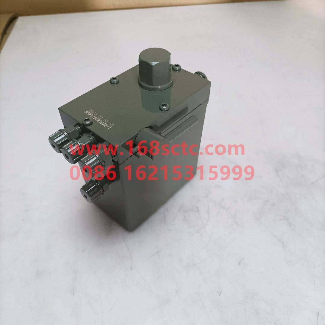WG9925823022