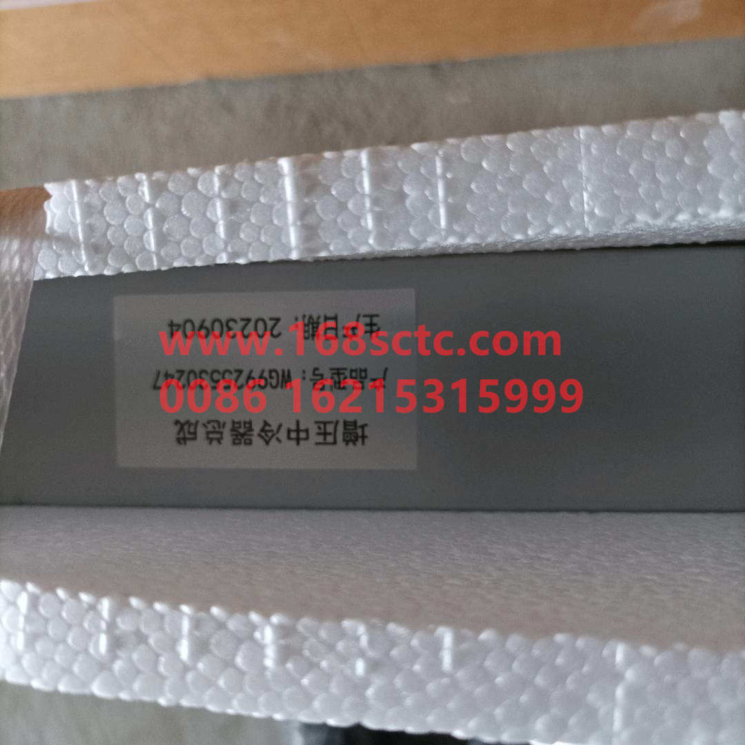 WG9925530247
