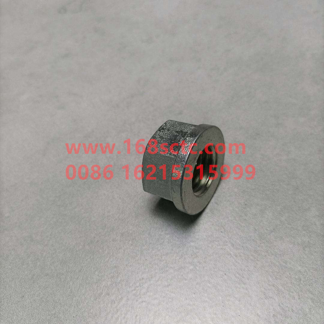 ZQ32720T13F3-SINOTRUK HOWO-Flange nut M20*2.5-HaoKaH7
