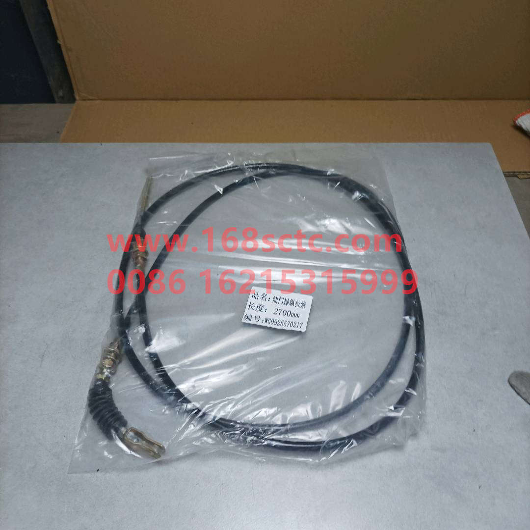 WG9925570217