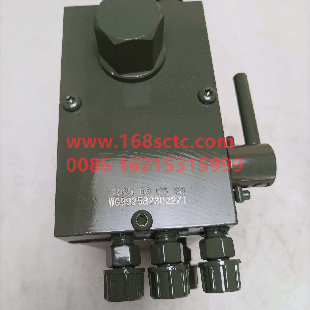 WG9925823022