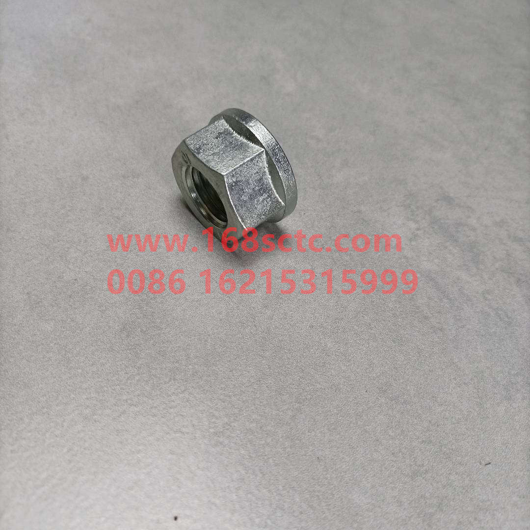 ZQ32720T13F3-SINOTRUK HOWO-Flange nut M20*2.5-HaoKaH7