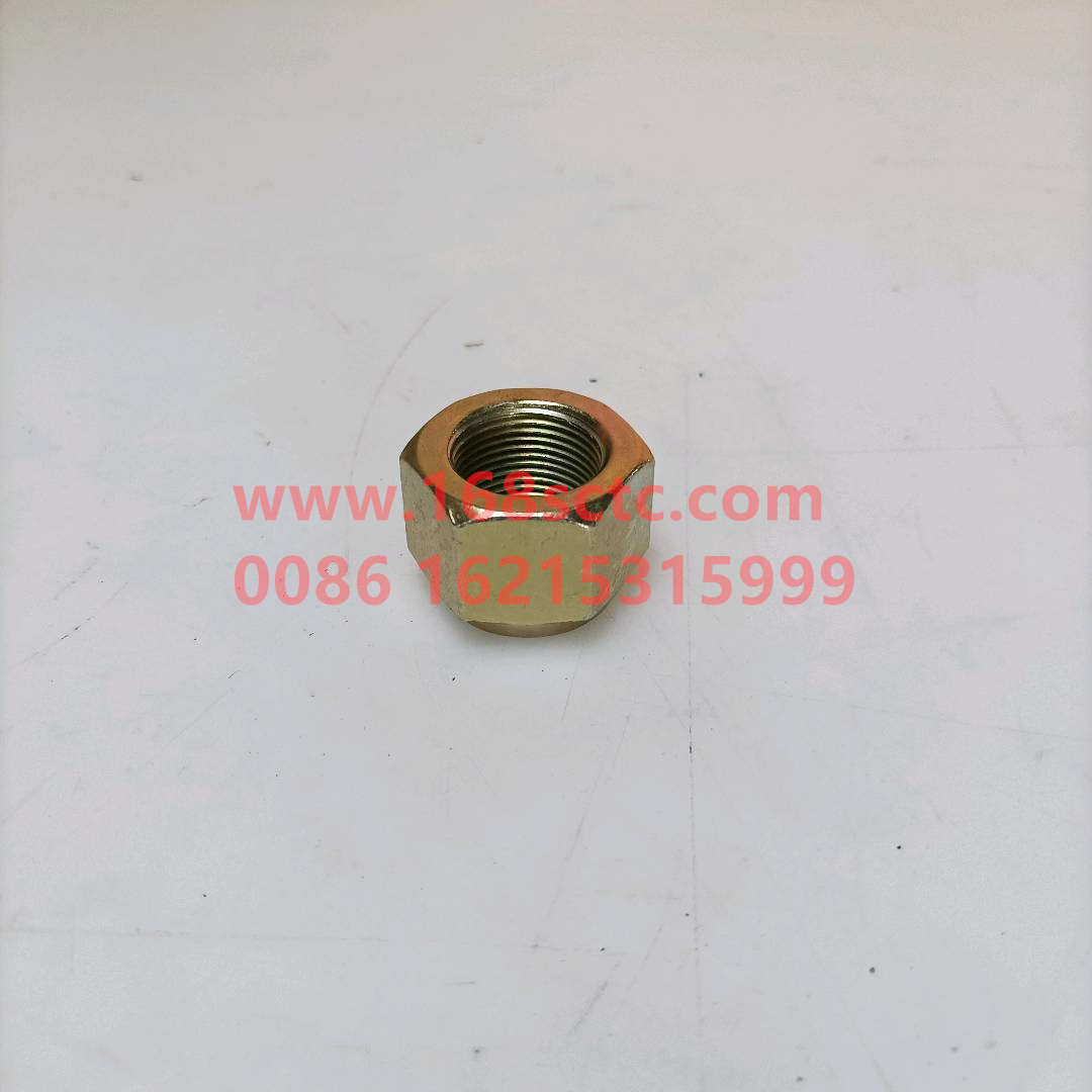 ZQ361B22T13F6-OTHERS-Hex nut type 2 M22x1.5-LiuJiaoTouLuoMu