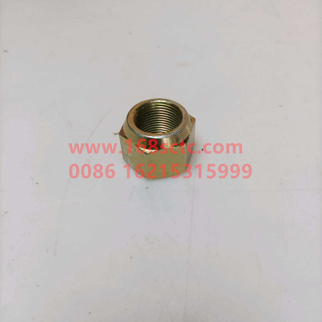 ZQ361B22T13F6-OTHERS-Hex nut type 2 M22x1.5-LiuJiaoTouLuoMu