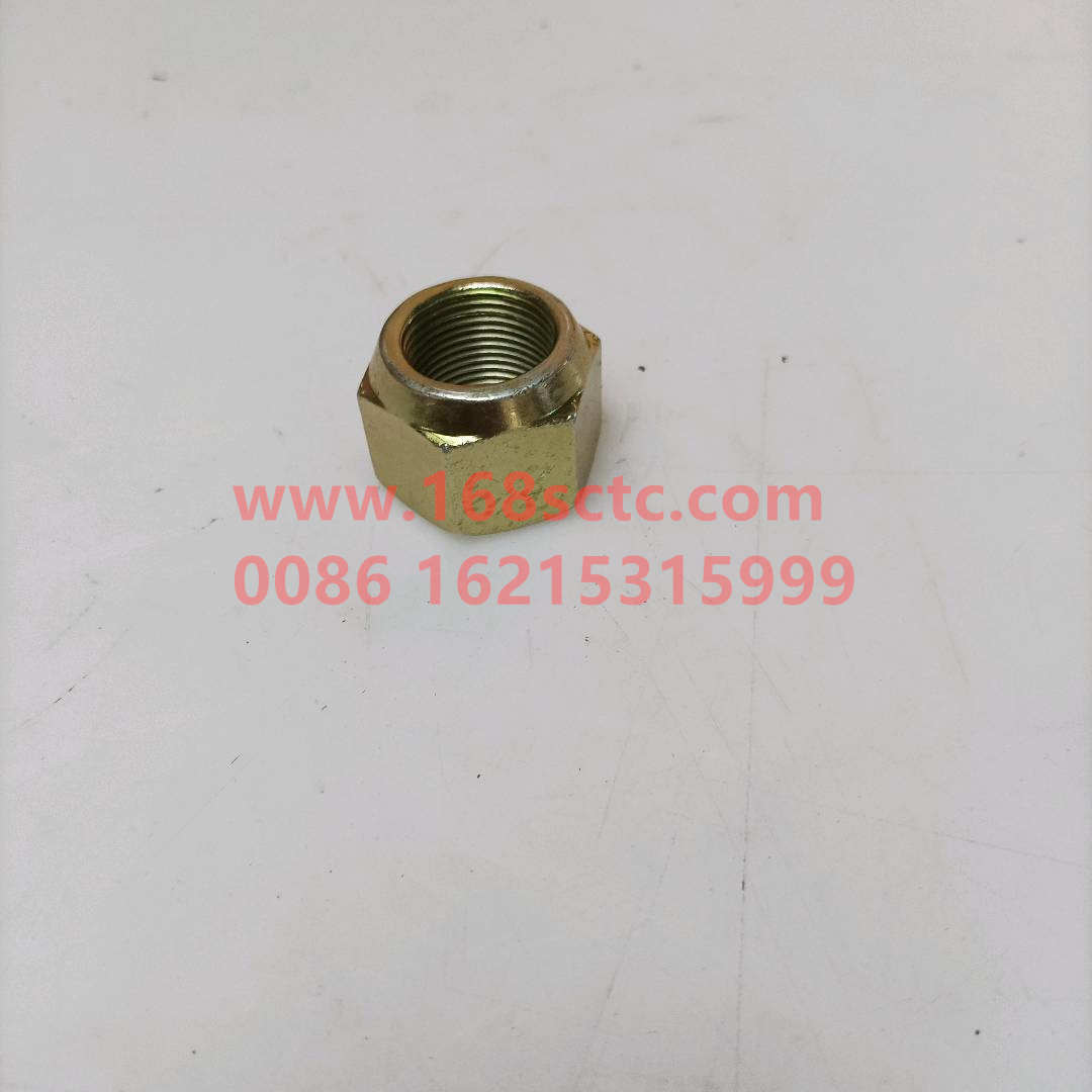 ZQ361B22T13F6-OTHERS-Hex nut type 2 M22x1.5-LiuJiaoTouLuoMu