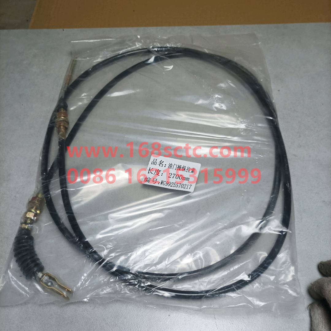WG9925570217