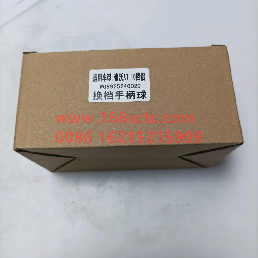 WG9925240020