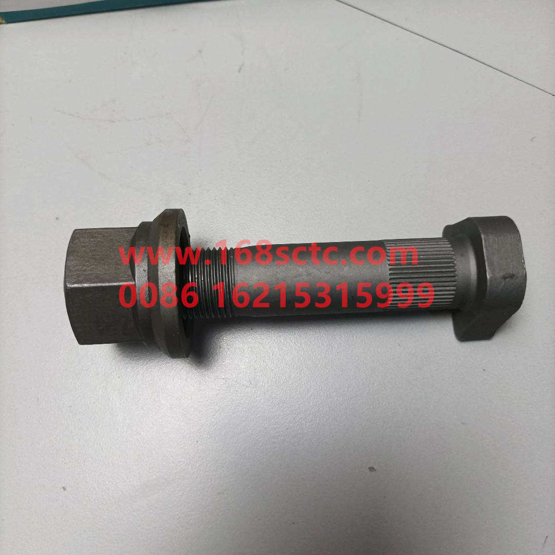 31zhs06a-04051