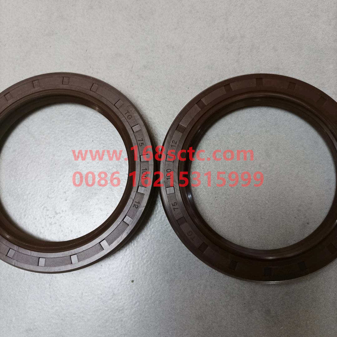 WDF6J55T-1701161E1296