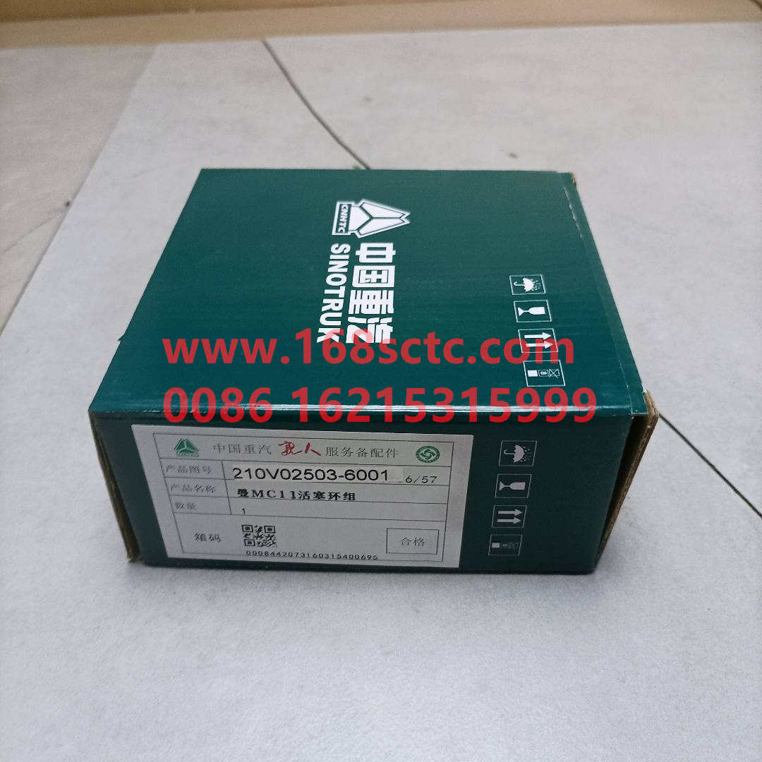 201V02503-6001(3)