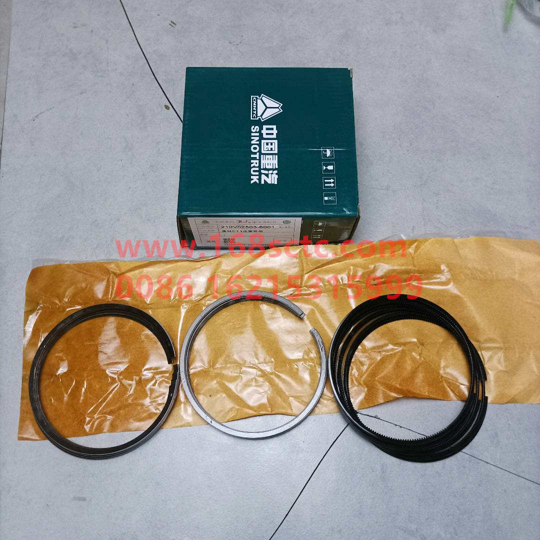 201V02503-6001(3)