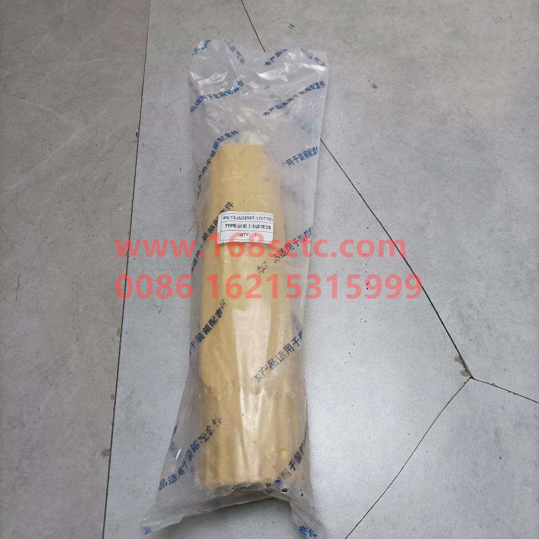 12JSD200T-1707105-1