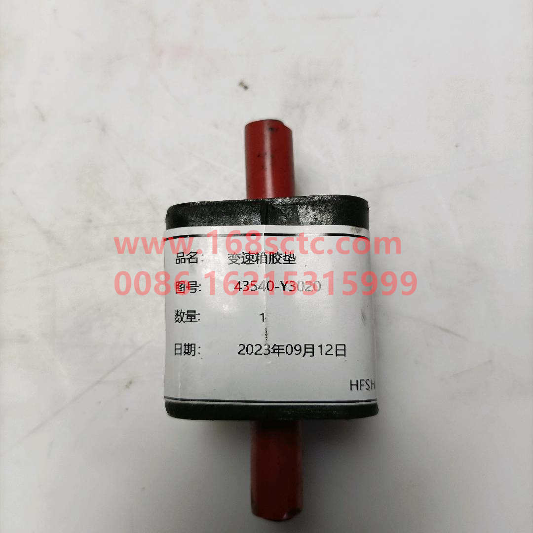 43540-Y3020