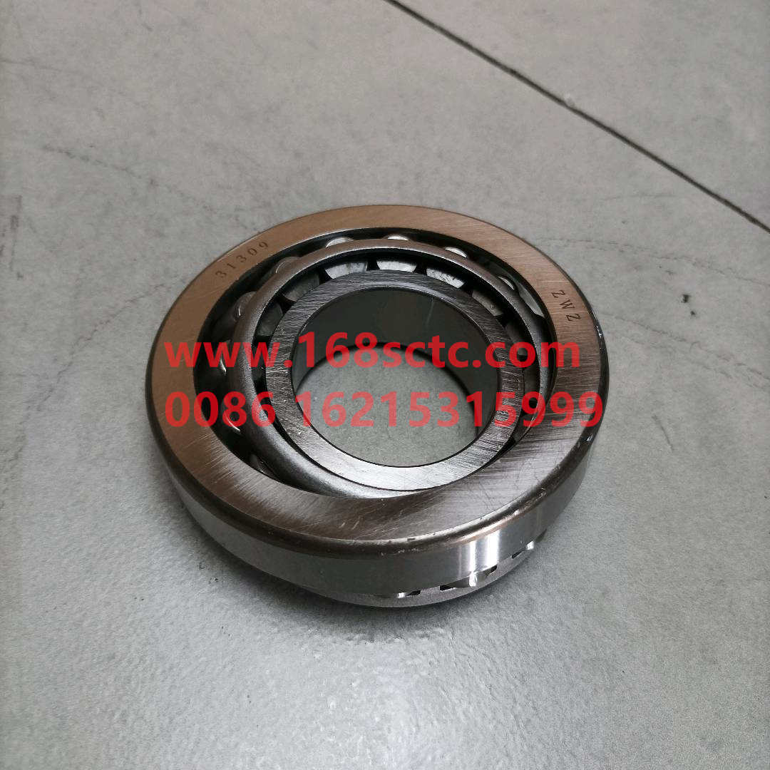 wg9325531309