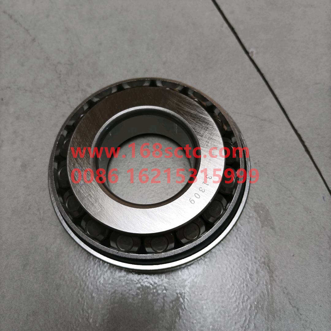 wg9325531309