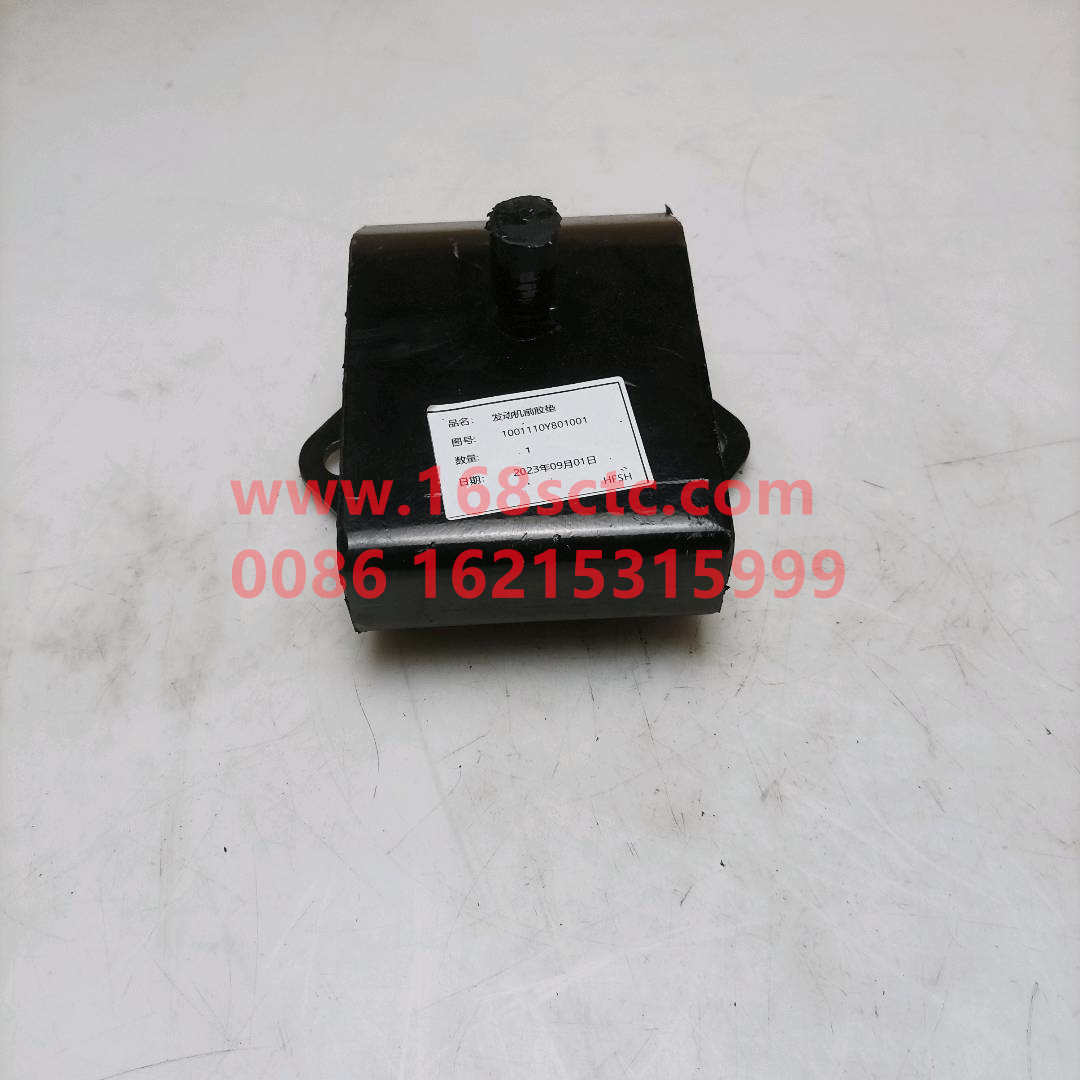 1001110Y801001