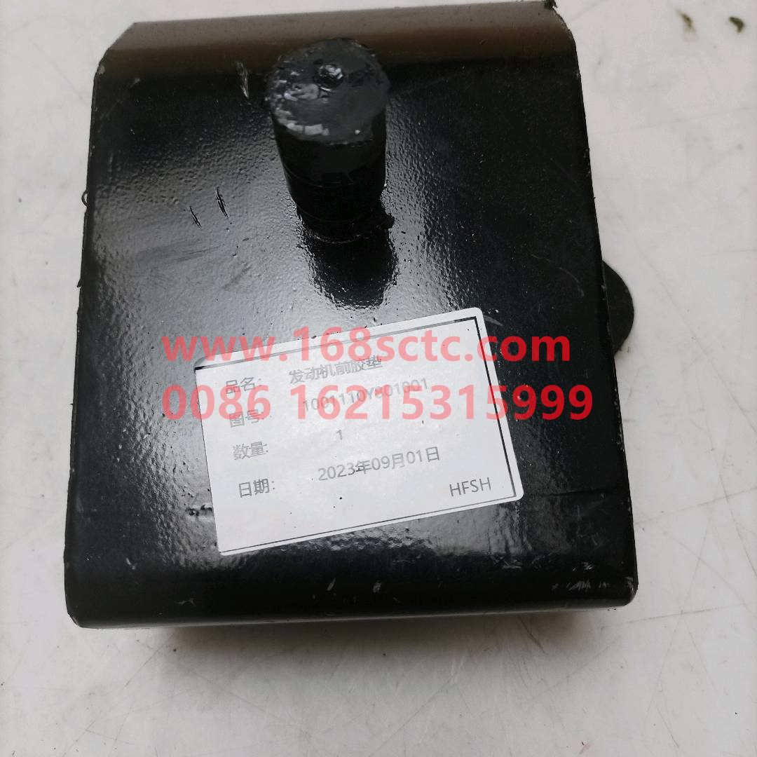 1001110Y801001