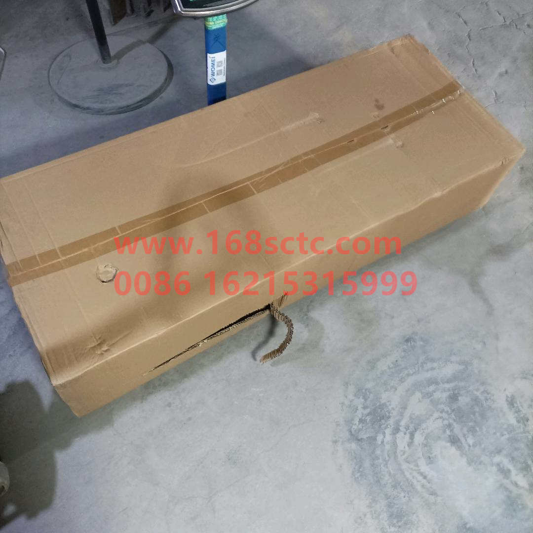1109070Y801001