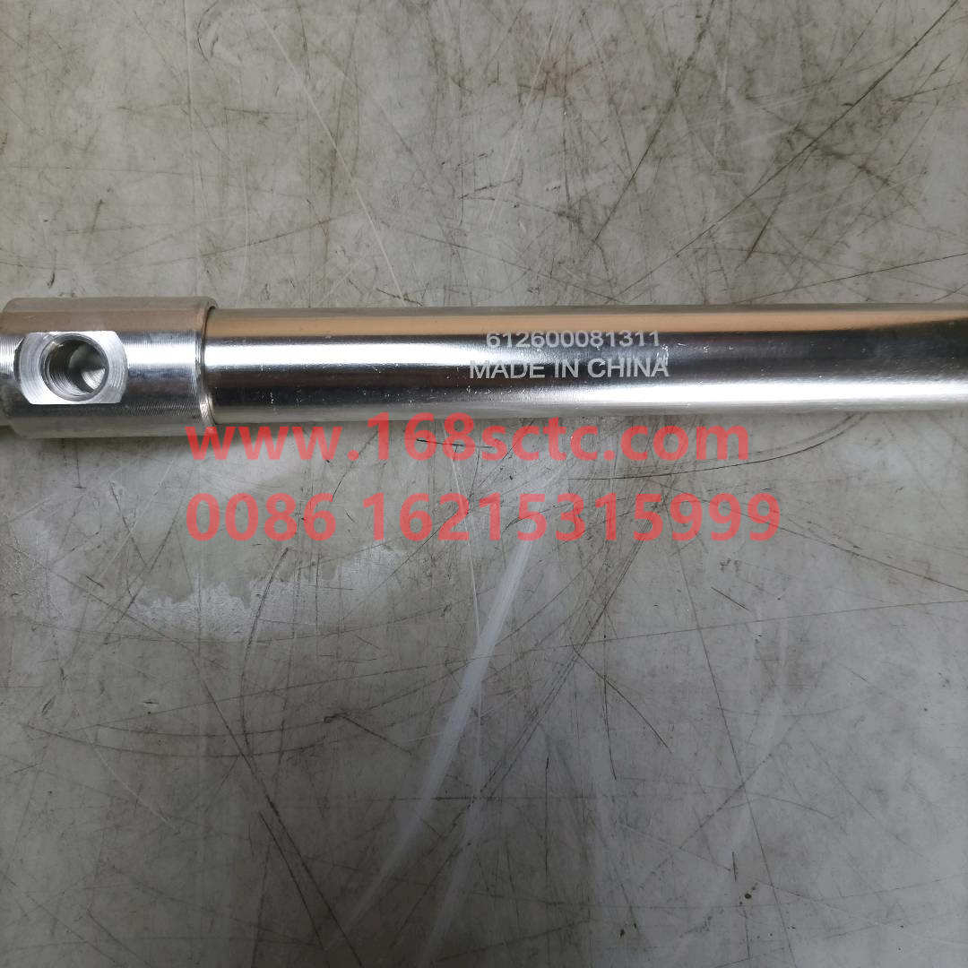 WG9100570005-t