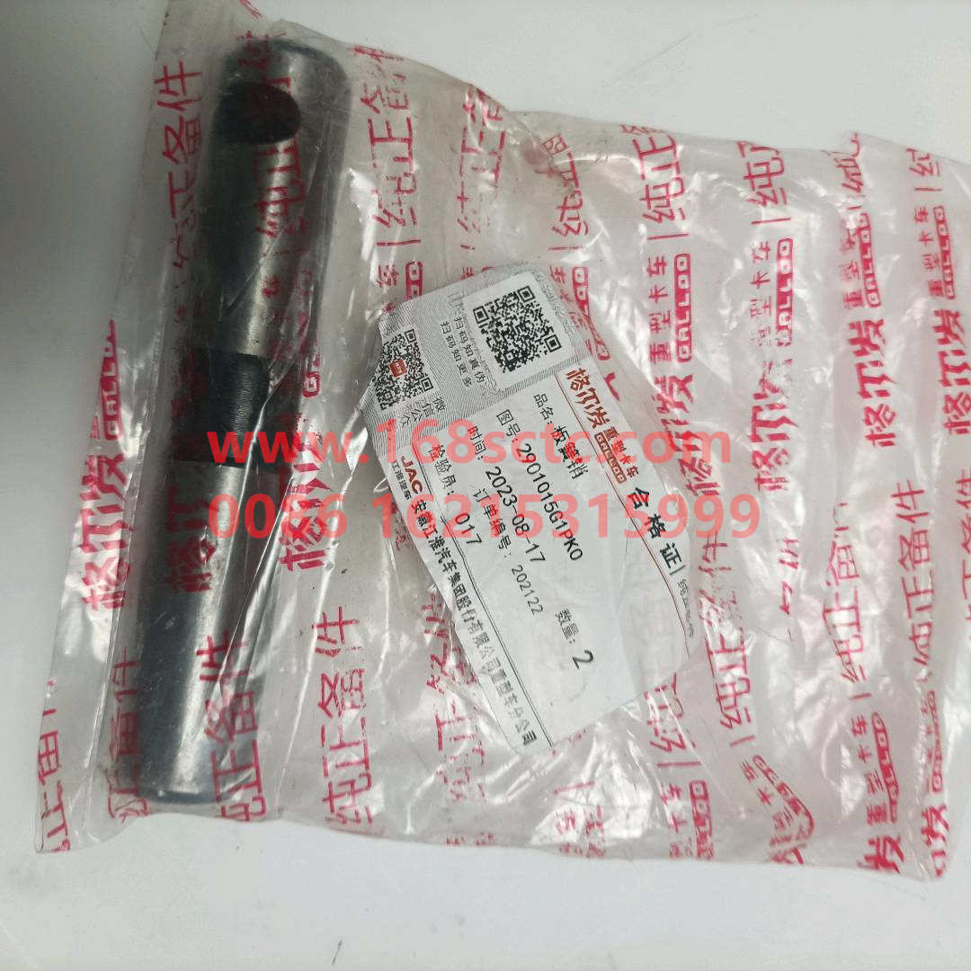 2901015G1PK0