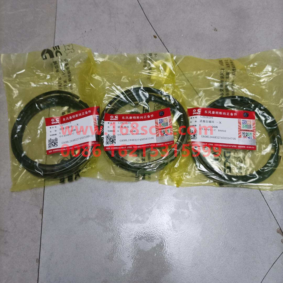 4955651