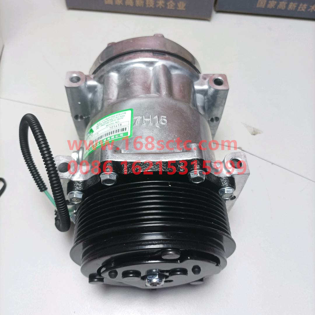 8104010-C1100