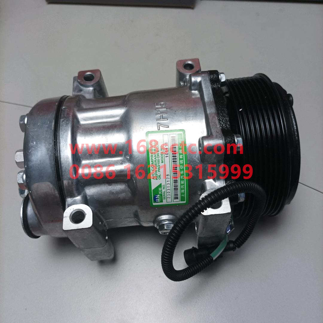 8104010-C1100