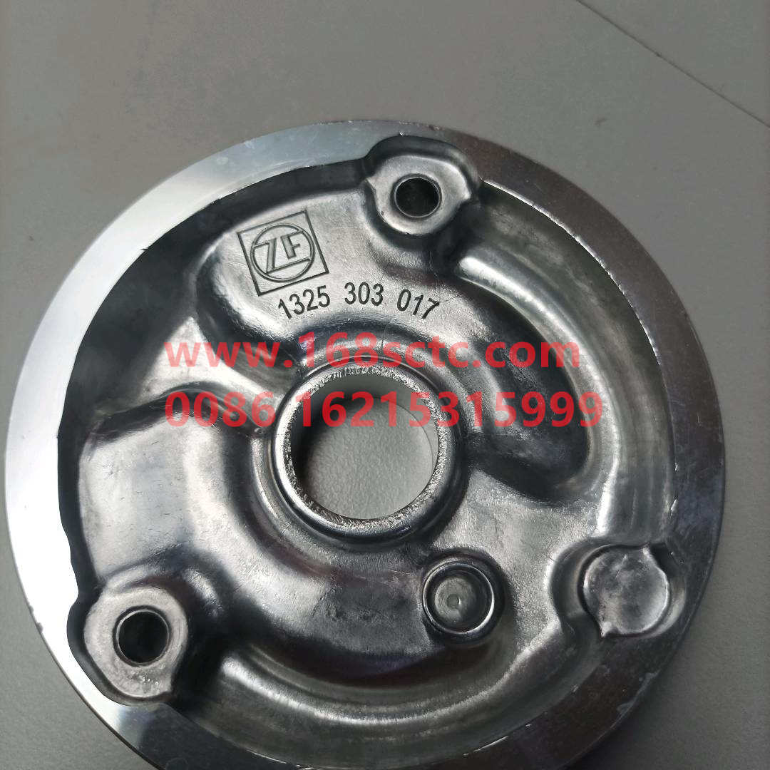 1325303017