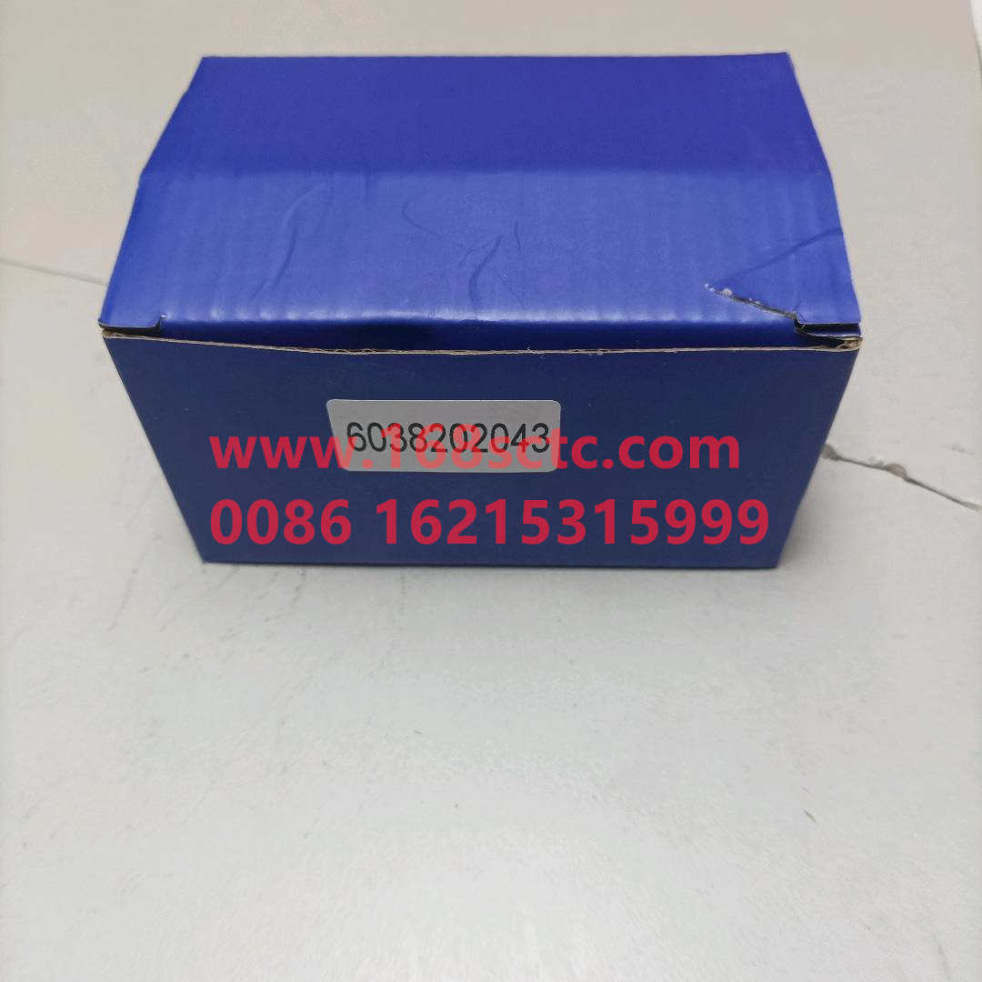 6038202043