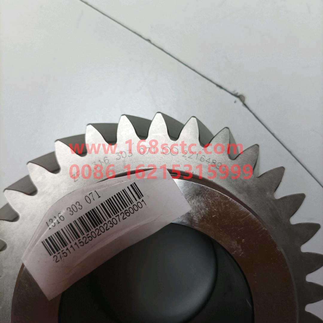 1316303071
