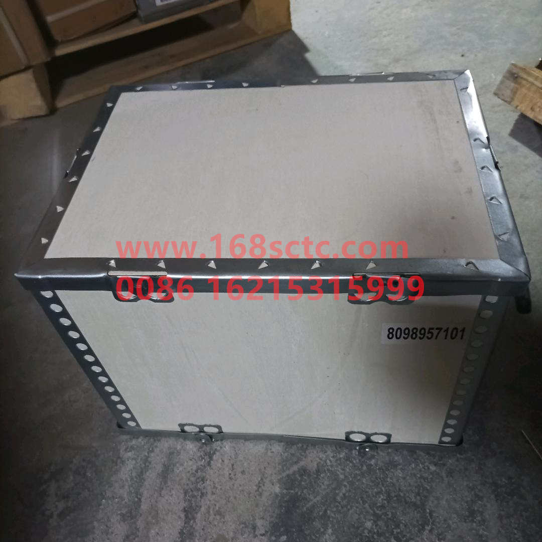 8098957101