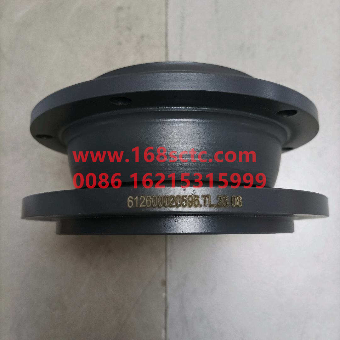 612600020596