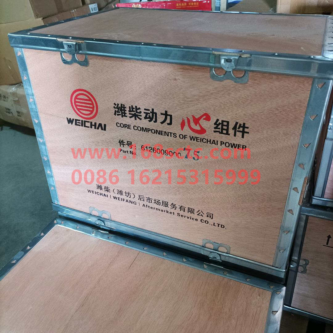612600900075A-WEICHAI-Four matching (Weichai core components) maintenance parts-WeiChaiFaDongJiWD615.34