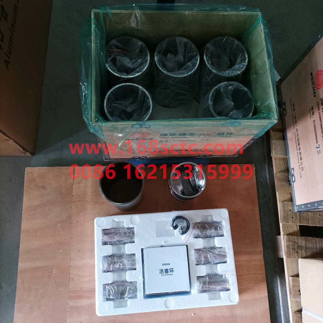 612600900075A-WEICHAI-Four matching (Weichai core components) maintenance parts-WeiChaiFaDongJiWD615.34