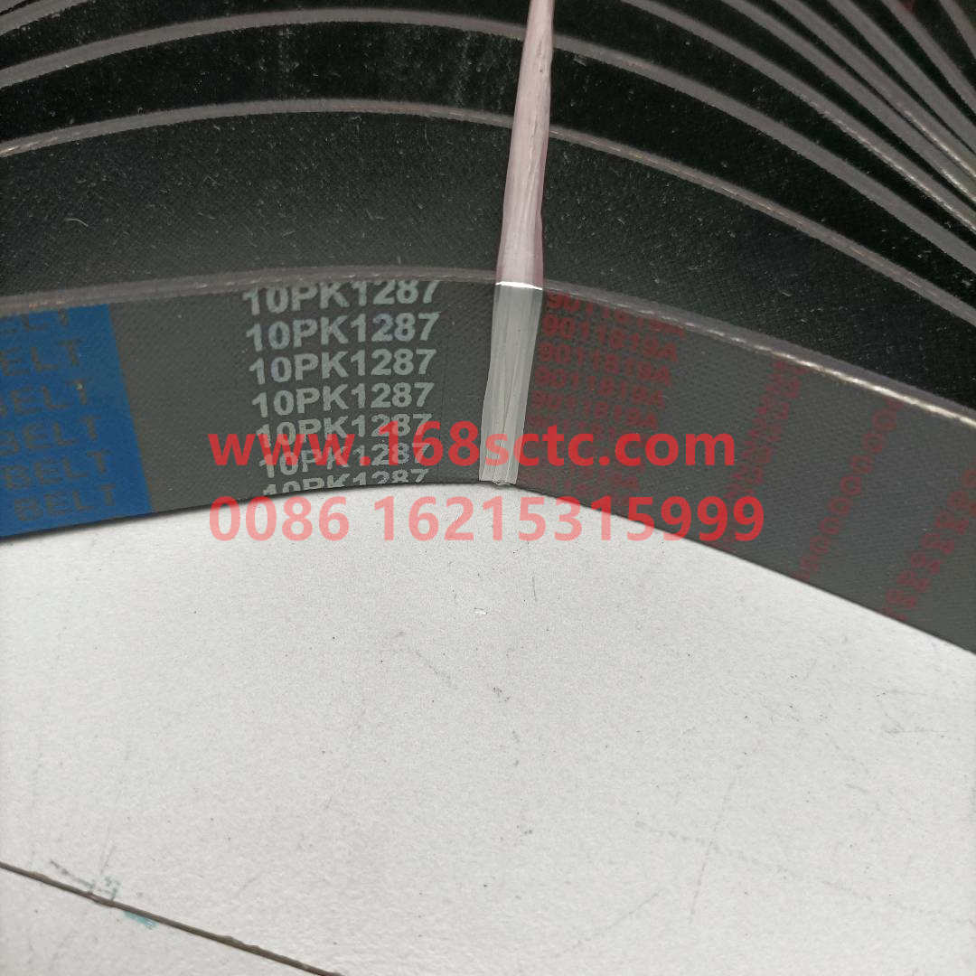 10PK1287 612630060974