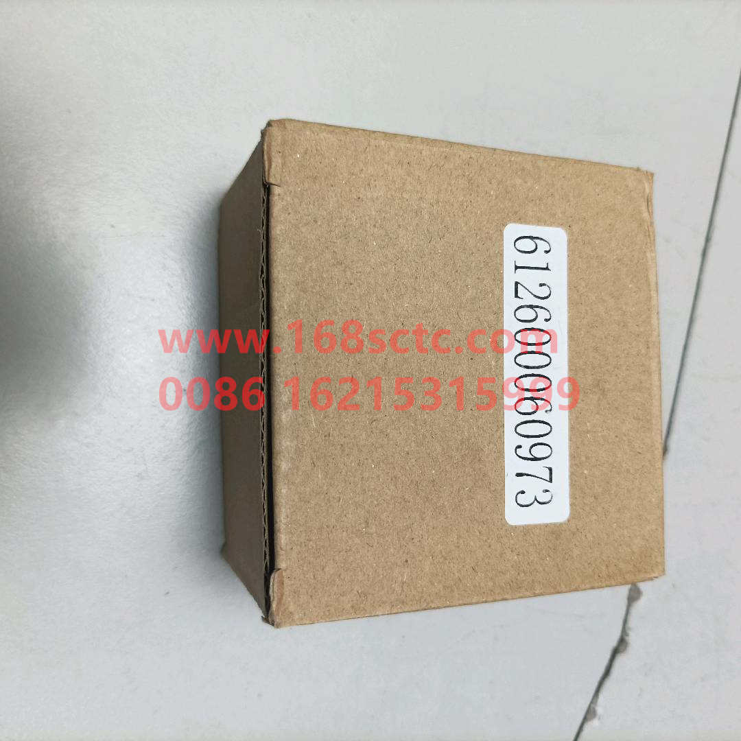 612630060973