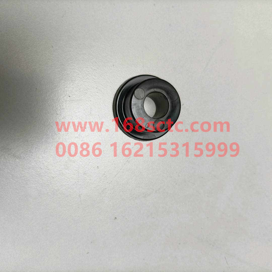 AZ1642430265-SINOTRUK HOWO-Ttype bushing-HaoWo2013Kuan