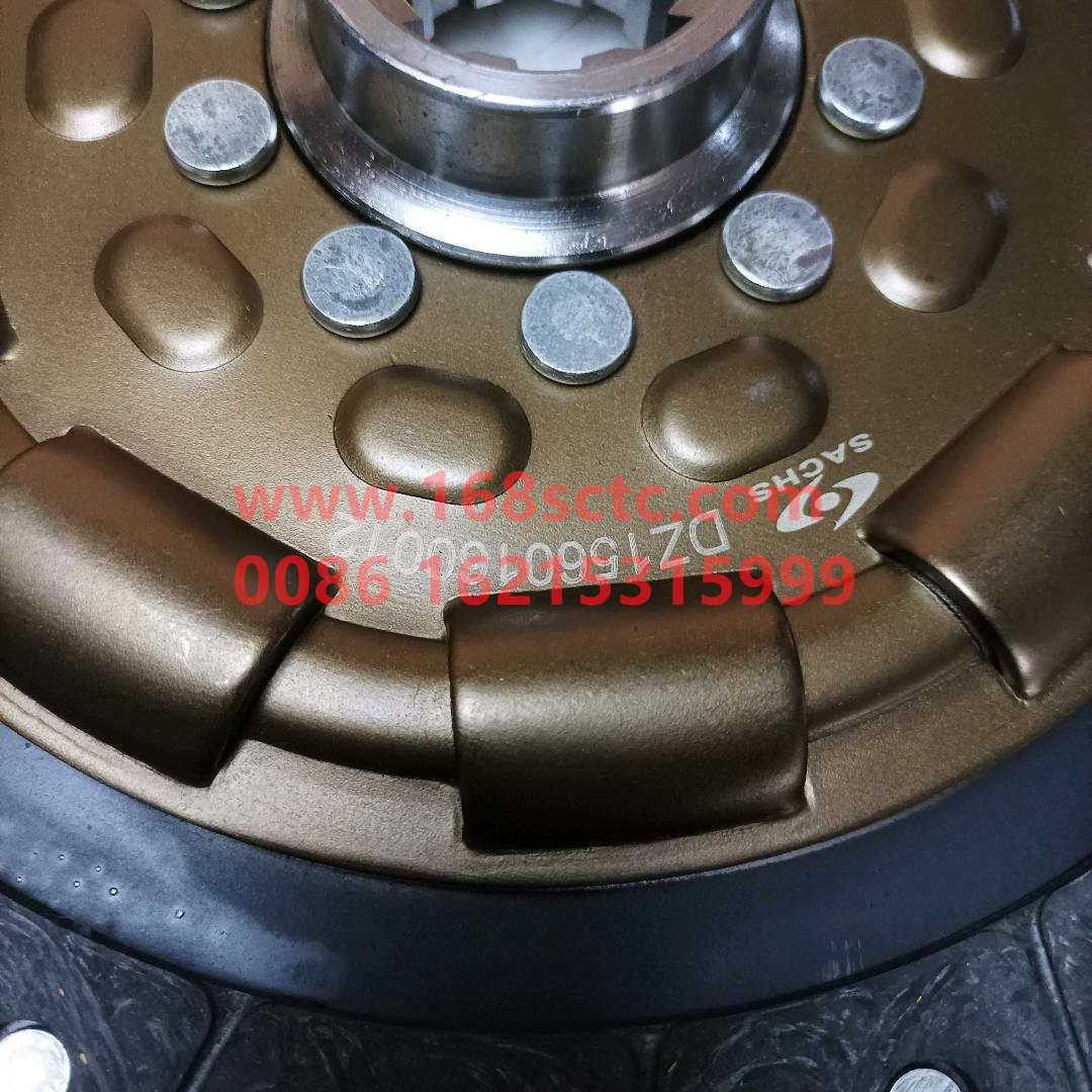 DZ1560160012