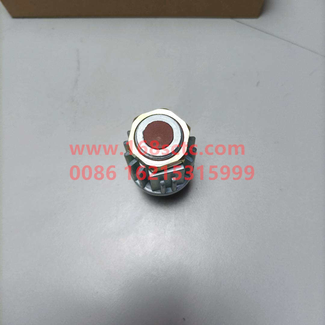 DZ93189582550-SHACMAN-brake switch-DeLongF2000 2015Kuan