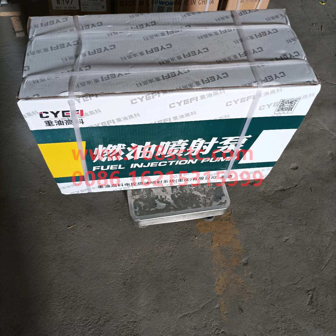 VG1246080097